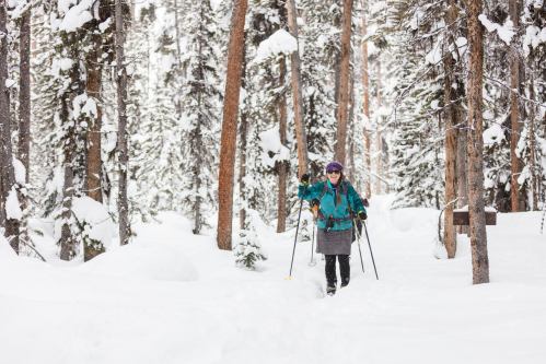 A person hiking through a snowy forest, surrounded by tall trees, wearing winter gear and using trekking poles.