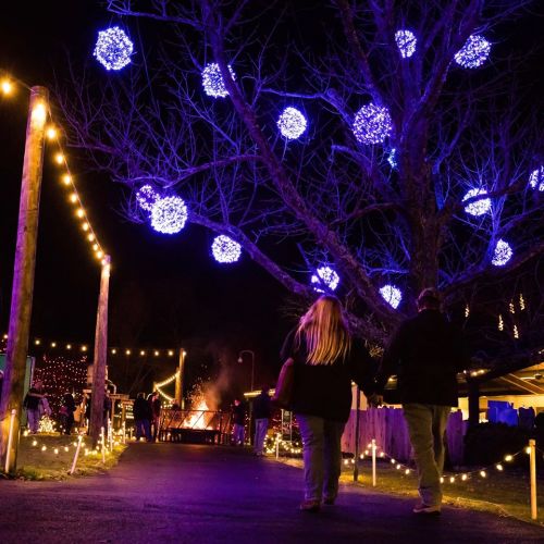 A festive scene at night with a tree adorned with blue lights and people walking along a path lined with glowing decorations.