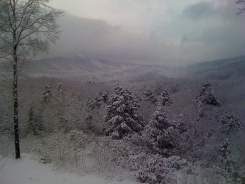 A snowy landscape with trees and mountains under a cloudy sky, creating a serene winter scene.