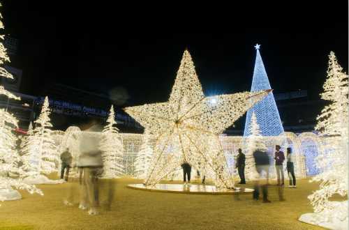 A festive display of illuminated trees and a large star, with people enjoying the holiday atmosphere at night.