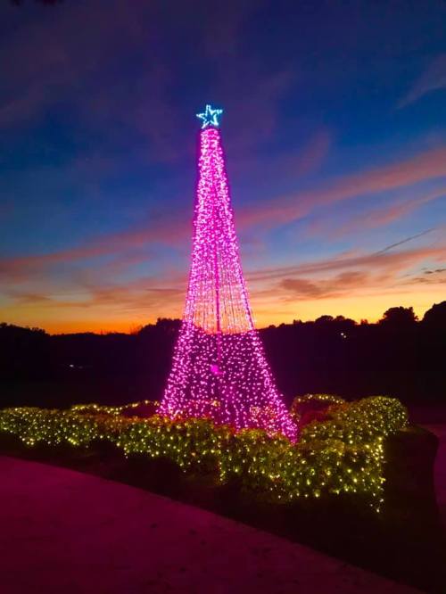 A brightly lit pink Christmas tree with a star on top, set against a colorful sunset sky.