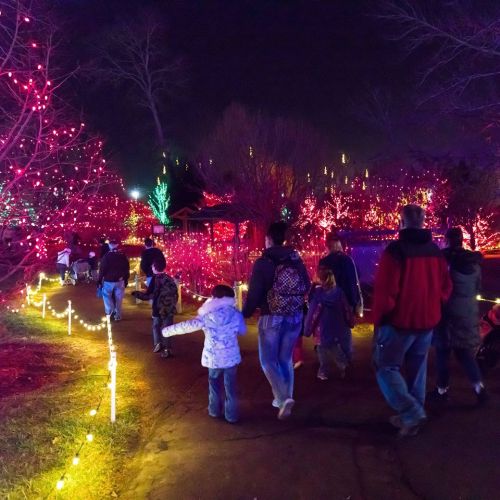 A group of people walks along a path illuminated by colorful holiday lights in a festive outdoor setting.