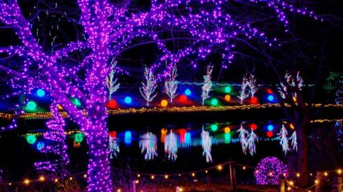 Colorful holiday lights illuminate trees and a lake, creating a festive nighttime scene with vibrant reflections.