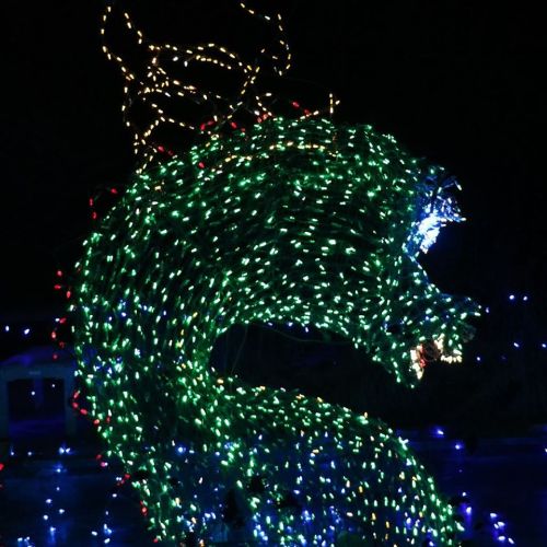 A vibrant green dragon made of lights, with intricate details and a glowing blue eye, set against a dark background.