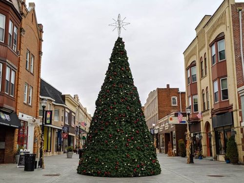 A large decorated Christmas tree stands in a quaint shopping street, surrounded by festive storefronts.