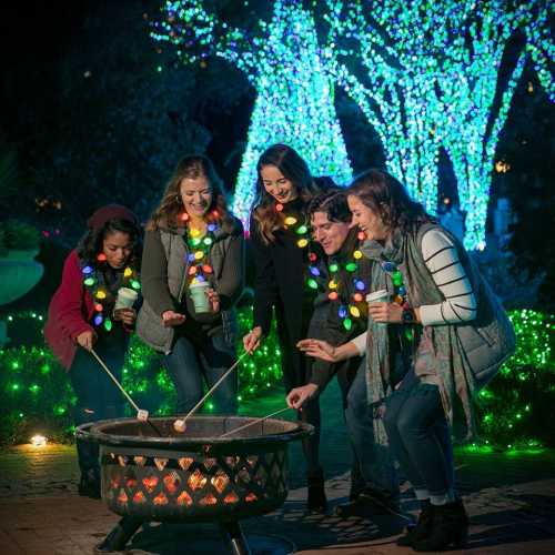 A group of five friends roast marshmallows by a fire pit, surrounded by colorful holiday lights in a festive outdoor setting.