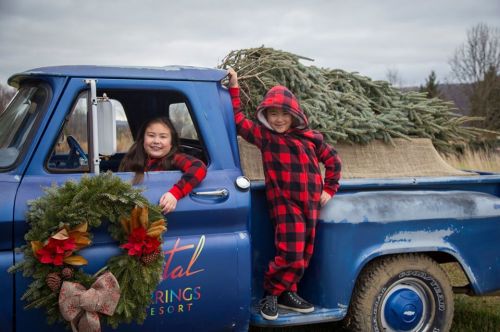 Two children in matching red plaid outfits pose by a vintage blue truck filled with Christmas trees, decorated with a wreath.