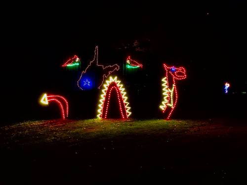 Colorful holiday lights shaped like dinosaurs and other creatures illuminate a dark outdoor scene.