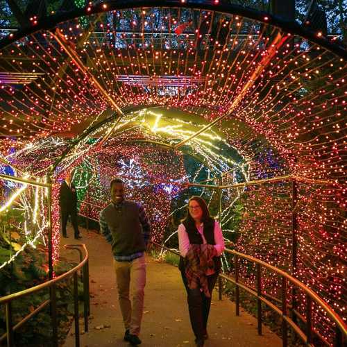 A festive light tunnel with colorful decorations, featuring two people walking through it, surrounded by glowing trees.