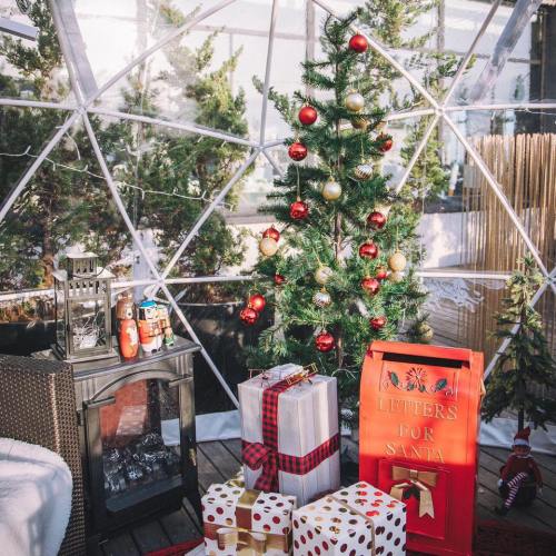 A cozy holiday scene inside a transparent dome, featuring a decorated Christmas tree, gifts, and a "Letters for Santa" box.