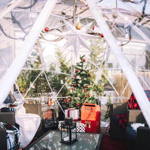 A cozy holiday-themed igloo with a Christmas tree, decorations, and gifts, surrounded by greenery.
