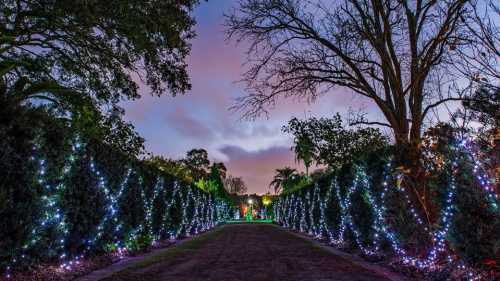 A pathway lined with trees and twinkling lights, leading into a serene garden at dusk.