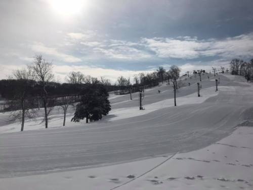 A snowy landscape with ski slopes, trees, and a bright sky, creating a serene winter scene.