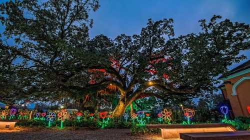 A large tree illuminated with colorful lights, surrounded by glowing flower decorations at dusk.