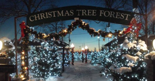 A snowy path leads through a Christmas tree forest, adorned with lights and festive decorations under a twilight sky.