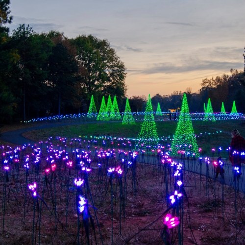 Colorful illuminated trees and flowers in a park at dusk, with a sunset sky in the background.