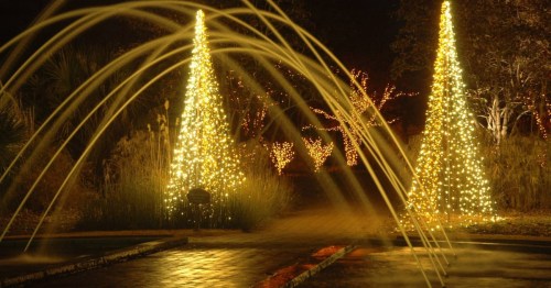 Illuminated Christmas trees with lights, surrounded by a fountain and festive decorations at night.