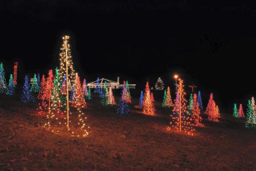 Colorful Christmas lights illuminate trees on a hillside at night, creating a festive holiday atmosphere.
