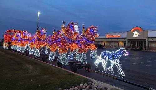 A festive display of illuminated horses and a dog, set against a building, showcasing colorful holiday lights.