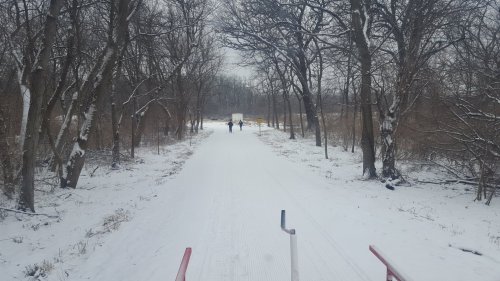 Two people walk down a snowy path surrounded by trees, with a truck visible in the distance.