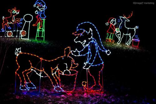 Colorful holiday lights depicting a child feeding a reindeer, with festive characters and animals in the background.