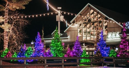 A festive scene featuring colorful lit trees in front of a building adorned with holiday lights at night.