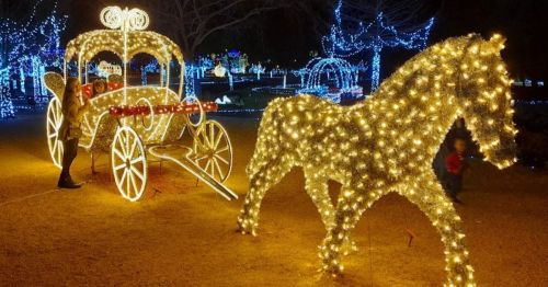 A sparkling horse and carriage made of lights, surrounded by festive decorations in a nighttime setting.