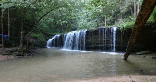 A serene waterfall cascades over rocks into a calm pool, surrounded by lush green trees in a tranquil forest setting.