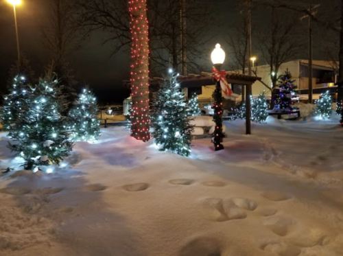 A snowy scene with decorated trees and festive lights, creating a cozy winter atmosphere.