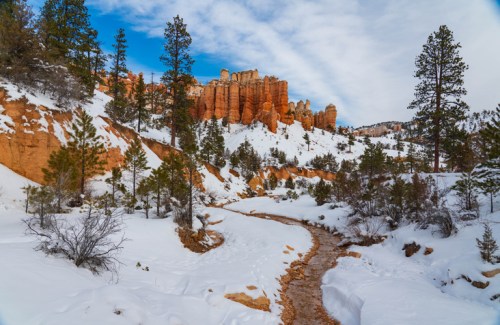 Snow-covered landscape with a winding path, red rock formations, and pine trees under a blue sky.