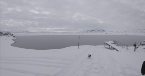 A snowy landscape with a lake, a dock, and a dog walking along a snow-covered path under a cloudy sky.
