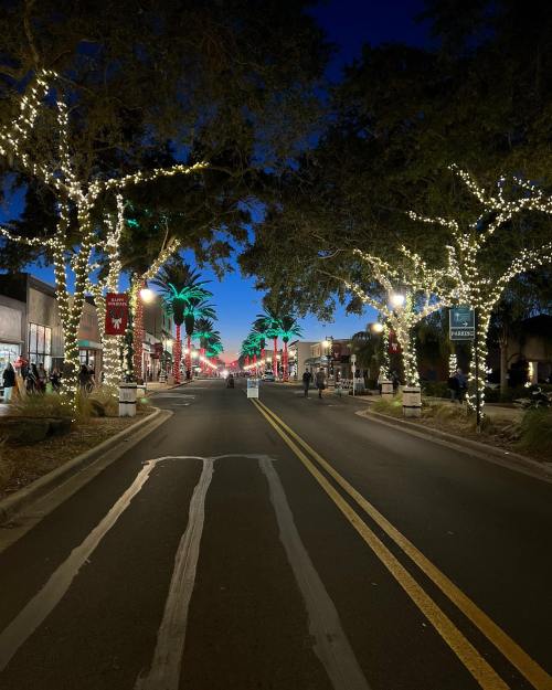A festive street lined with palm trees and lights, illuminated at dusk, creating a vibrant holiday atmosphere.