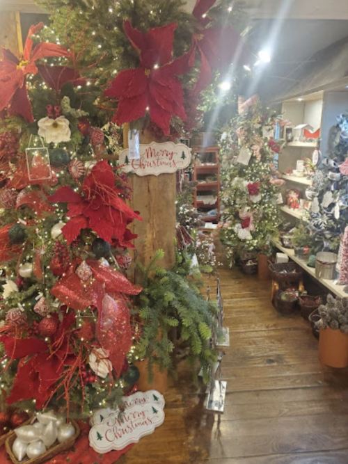 A festive shop interior decorated with Christmas trees, red poinsettias, and holiday ornaments, creating a cheerful atmosphere.