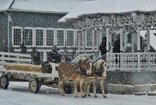 A horse-drawn cart carrying hay moves through a snowy scene, with a cozy building and people in the background.