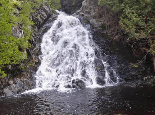 A cascading waterfall flows over rocky terrain, surrounded by lush green foliage.