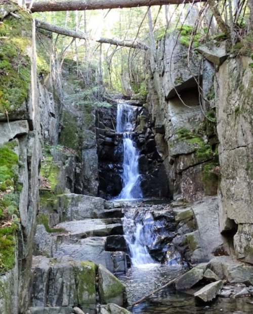 A serene waterfall cascading through rocky cliffs, surrounded by lush greenery and moss.