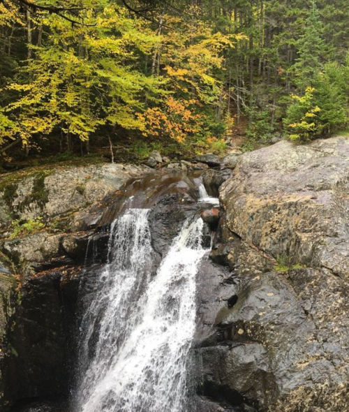 A waterfall cascading over rocky terrain, surrounded by lush green trees and hints of autumn foliage.