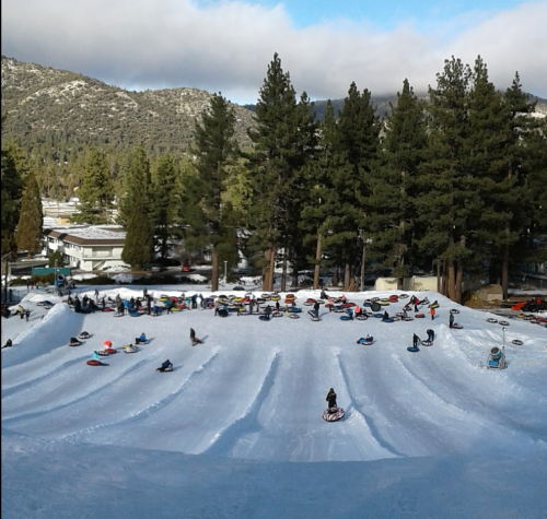 A snowy hill with people sledding and tubing, surrounded by tall pine trees and a clear blue sky.