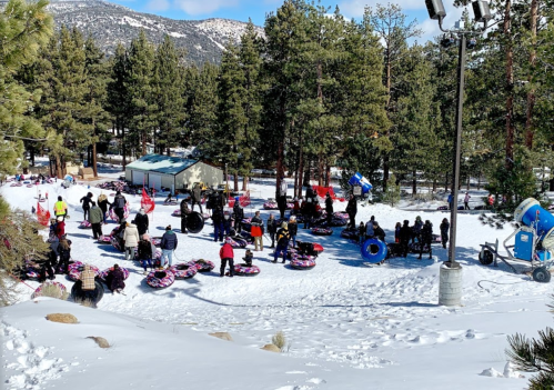 A snowy landscape with people tubing and playing in the snow, surrounded by trees and a small building in the background.