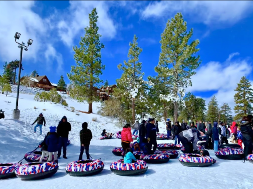 A snowy landscape with people tubing and playing, surrounded by tall pine trees and a clear blue sky.