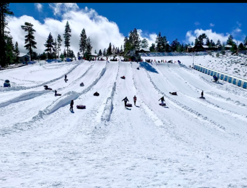 People sledding down snowy hills under a bright blue sky, surrounded by trees and a winter landscape.