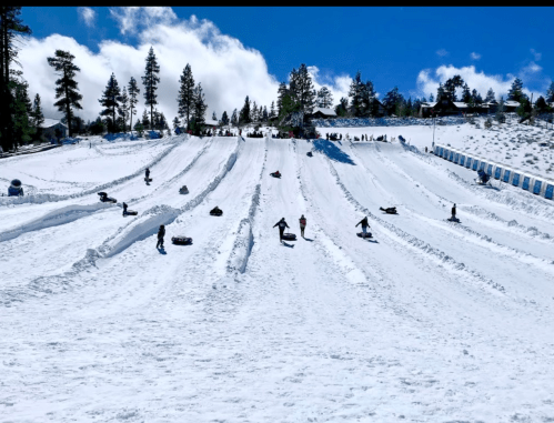 People sledding down snowy hills under a bright blue sky, surrounded by trees and a winter landscape.