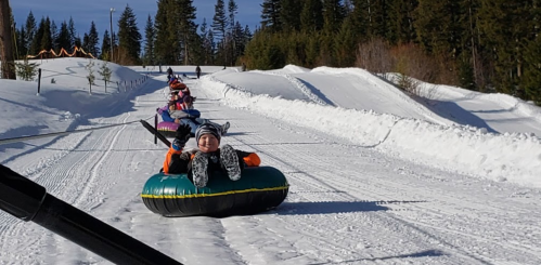 A group of children tubing down a snowy hill, surrounded by trees and a clear blue sky.