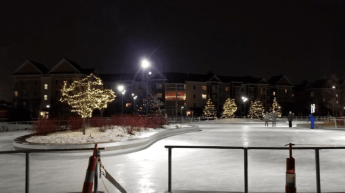 A nighttime ice skating rink surrounded by trees adorned with lights and nearby buildings.