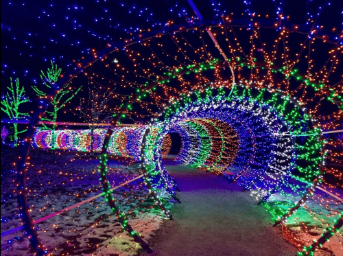 A colorful tunnel of twinkling lights in various hues, creating a festive and enchanting atmosphere.