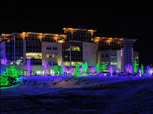 A brightly lit building at night, surrounded by colorful purple and green holiday lights on trees and shrubs.