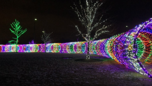 Colorful holiday lights illuminate trees and a winding path in a nighttime outdoor display.