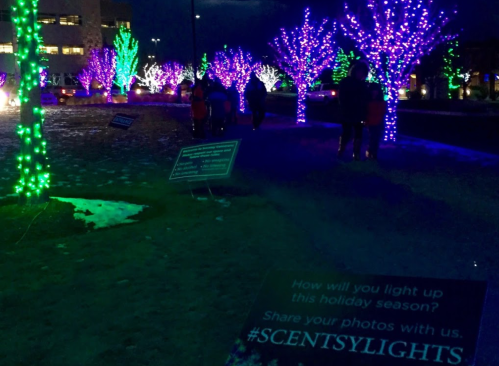 Colorful holiday lights illuminate trees at night, with people walking and a sign inviting photo sharing.