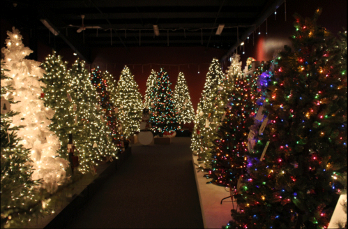 A festive display of Christmas trees adorned with colorful and white lights in a dimly lit room.