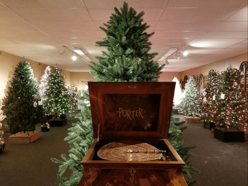 A vintage gramophone in the foreground, surrounded by decorated Christmas trees in a festive room.